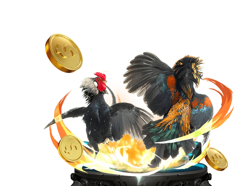 Sự kiện và giải đấu đặc biệt